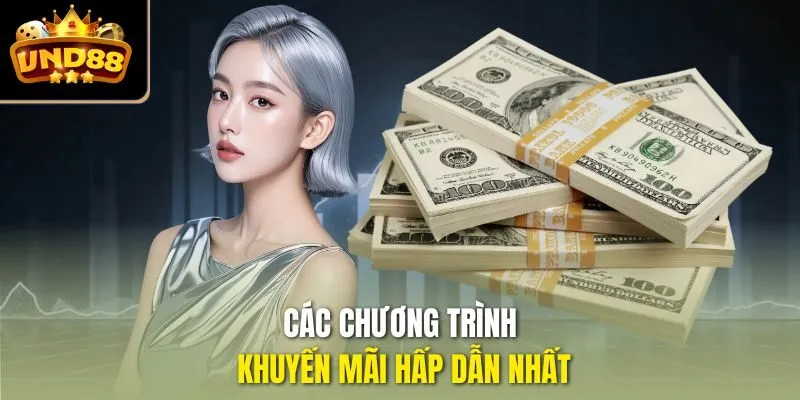 Các chương trình khuyến mãi hấp dẫn nhất