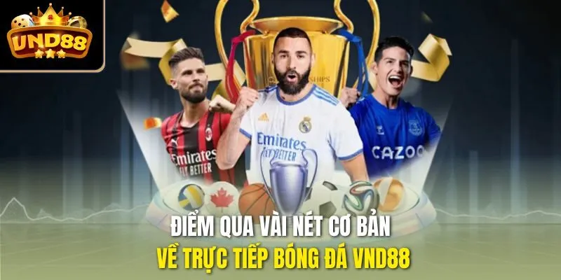 Điểm qua vài nét cơ bản về trực tiếp bóng đá VND88
