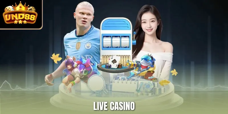 live casino