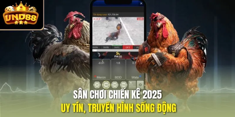 Sân chơi chiến kê 2025 uy tín, truyền hình sống động